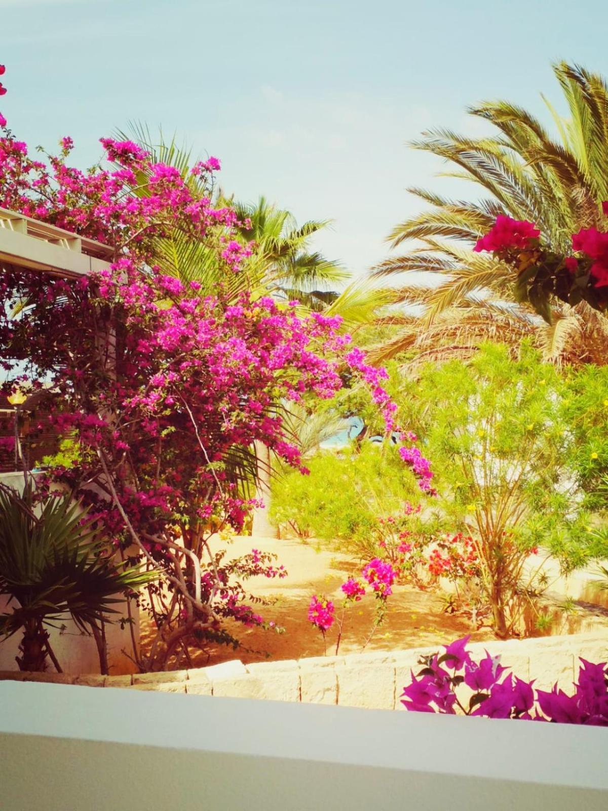 Villa Cristina Alojamento, Praia De Chaves, Boa Vista, Cape Verde, Wi-Fi Sal Rei Buitenkant foto